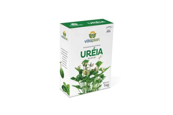 DV Arte Verde - Manutenção de Jardins, Paisagismo e Jardinagem em Geral - RJ
