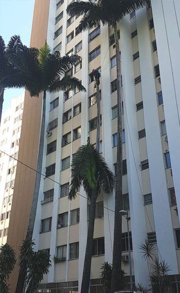 Poda de árvores no Rio de Janeiro - DV arte verde