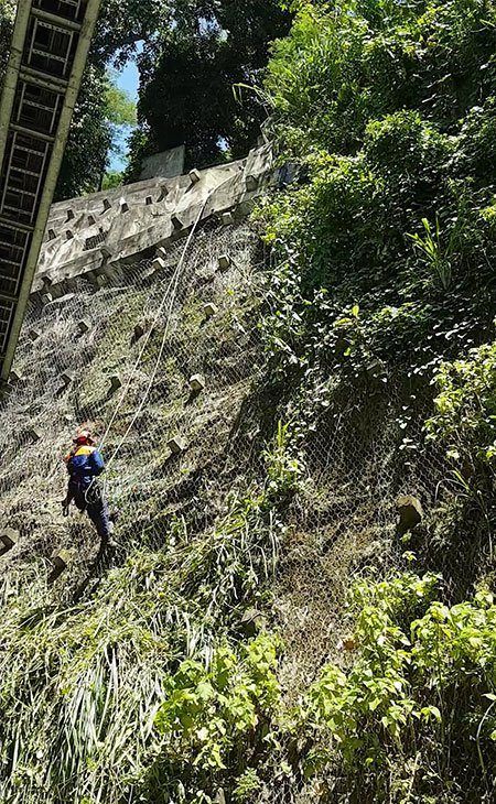 Manutenção de Jardim e Paisagismo RJ