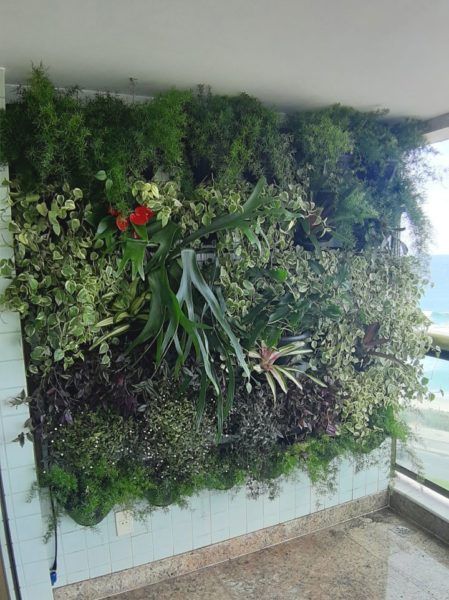 Jardim Vertical RJ (6)