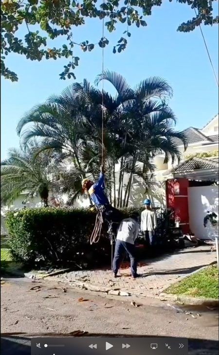 Manutenção de Jardim e Paisagismo RJ