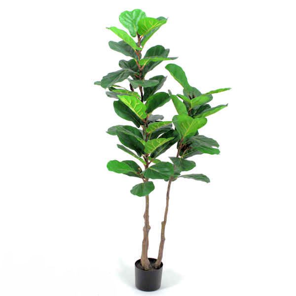 Ficus Lyrata (Artificial) - 180 cm