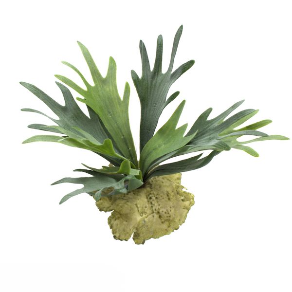 Palmeira Cariota (Artificial) - 180 cm - DV Arte Verde