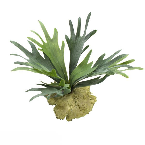 Costela de Adão (Atificial) - 100 cm - DV Arte Verde