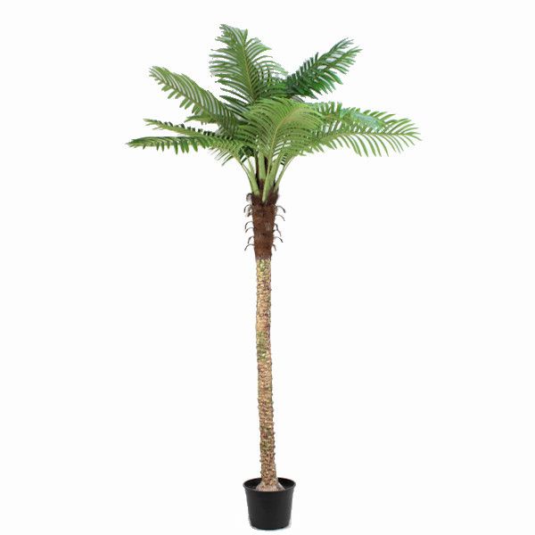Palmeira Fenix (Artificial) - 180 cm
