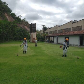 jardinagem e paisagismo RJ