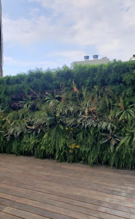 Manutenção de Jardim e Paisagismo RJ